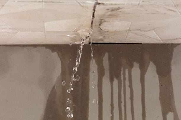 Professional Water Damage Repair technician working in Miller Place, NY